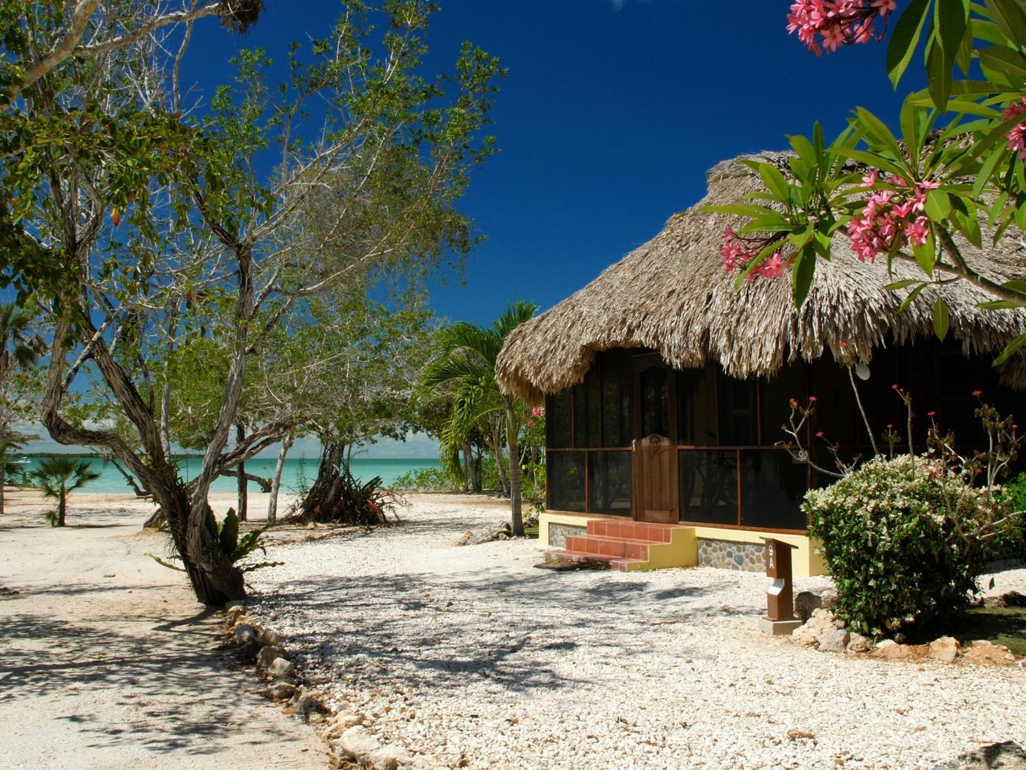 Orchid Bay Resort โคโรซอล ห้อง รูปภาพ